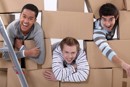 The image shows three young men with diverse ethnic backgrounds engaged in a house removal activity, surrounded by numerous cardboard boxes stacked around them inside a residential interior. The man on the left, with a broad smile and wearing a grey sweater, is leaning on a ladder that is partially visible on the left side of the image. The central figure, with blond hair and wearing a white and navy striped long-sleeve shirt, is lying across several boxes, smiling at the camera, with his arms resting on the boxes in front of him. The man on the right, with dark hair and dressed in a blue and grey horizontally striped sweater, is reaching towards the boxes with a cheerful expression, suggesting active involvement in packing or organizing. The background features a neutral-toned wall, and the boxes appear to contain household items, indicative of a domestic move, likely within Westminster or the surrounding London area, fitting a house removals context. The scene is well-lit with natural or soft lighting, emphasizing the friendly and proactive atmosphere typical of professional house relocation services provided by Westminster Man with Van.